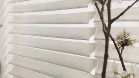 Κουρτίνες Λα Shangri συσκότισης ονείρου σκιών ηλεκτρικές που μηχανοποιεί για τη διακόσμηση παραθύρων