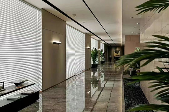 Κυματισμός τηλεχειρισμού Λα Shangri τυφλών μηχανών Tuya που διπλώνει για το καθιστικό