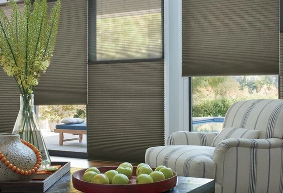 Μέρα και νύχτα κυψελωτές κουρτίνες για την ηλεκτρική σκίαση κουρτινών παραθυρόφυλλων ανύψωσης καθιστικών